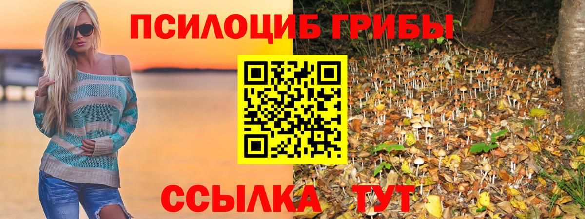 Галлюциногенные грибы MAGIC MUSHROOMS Ростов Великий