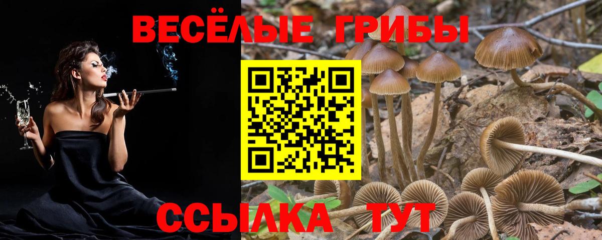 Псилоцибиновые грибы Cubensis  Псилоцибиновые грибы мухоморы  Ростов Великий  Вход с VPN 